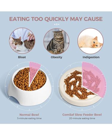 MSBC Pet Slow Feed Dish for Cats and Small Dogs - Fish Pool Design, Interactive Bloat Stop Puzzle Feeder Bowl - Healthy Eating Diet, Food Grade Material - Easy to Clean, Dishwasher Safe, Small - White - Buy Online on GoSupps.com