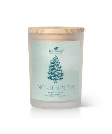 Plant Therapy Northern Fir Naturally Scented Candle 8 oz Hand-Poured Coconut & Soy Wax Blend Refreshing Forest Scent Chic Frosted White Jar with Wooden Lid