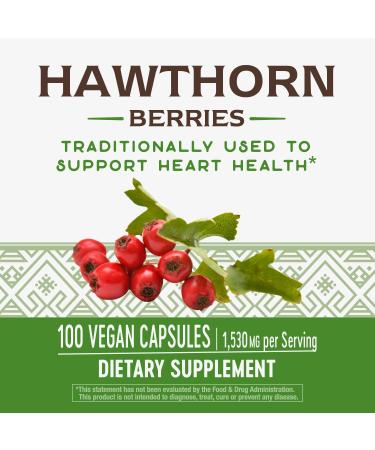 Nature's Way Premium Herbal Hawthorn Berries 530mg - 100 Vcaps, 100 Count Pack - Buy Online on GoSupps.com