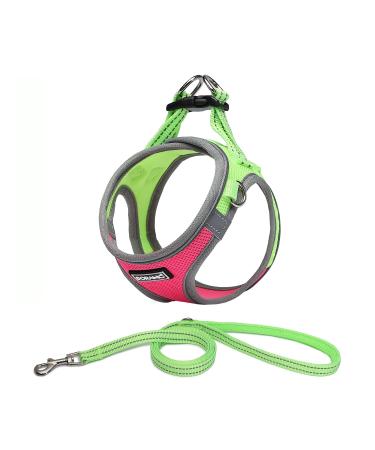 Doramio dog harness Small dogs with a leash step-in dishes reflective breathable breast tableware Anti train safety harness Cat harrying for small dogs cats (XXS rose red) XXS rose red