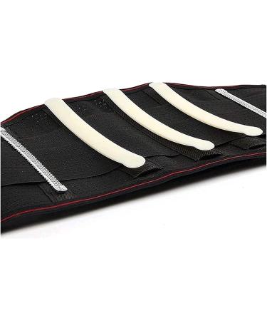 Breathable Adjustable Lumbar Spine Back Support Belt for Men & Women - Relieve Lower Back Pain (XX-Large) - Buy Online on GoSupps.com