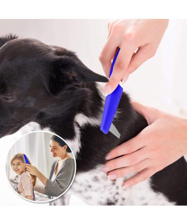 BENSEAO Flea Comb for Cats & Dogs - Metal Teeth for Effective Grooming & Lice Removal - Durable & Easy to Use - Includes Storage Pouch - 3 Piece Set in Blue - Buy Online on GoSupps.com