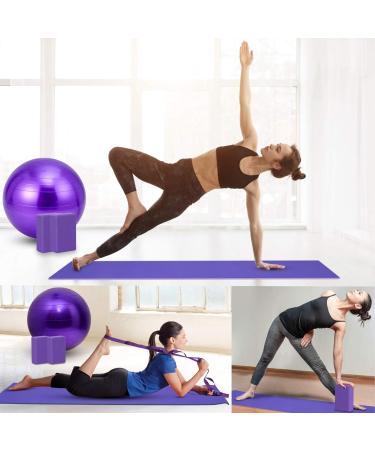 AJIEVWU 11-Piece Yoga Beginners Kit - Yoga Blocks, Strap, Ball, Mat with Carry Strap, Net Bag - Purple Yoga Set for Women Men - Buy Online on GoSupps.com