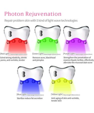 Dermanex 3D LED Face Massager Roller - Facial Beauty Skin Care Tool for Face Neck - Gift for Women and Men (Gold) - Buy Online on GoSupps.com