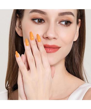 Poudre scintillante pour ongles Finition miroir arc-en- | Ensemble de poudres Art d grad arc-en- D coration DIY pour femmes filles P ques Halloween No l CF01 - Buy Online on GoSupps.com