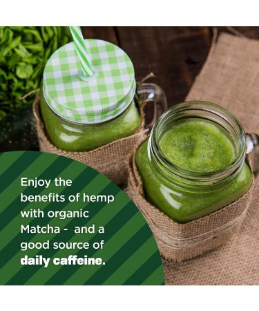 Manitoba Harvest Organic Hemp & Matcha Powder 5.5 oz | Energy Protein Blend with 6g Protein & 2g Fiber | Matcha Powder for Smoothies | Vegan & Non-GMO | 56g Caffeine - 5.5 Ounce - Buy Online on GoSupps.com