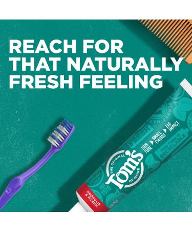 Tom's of Maine Fluoride-Free Propolis & Myrrh Natural Toothpaste Fennel 5.5 oz (Pack of 2) - Promotes Oral Health, Fresh Breath | Packaging May Vary - Buy Online on GoSupps.com