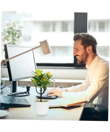 Zerodeko 2pcs Faux Lemon Potted Plant Mini Greenery Faux Plants Indoor Artificial Fruit Tree Bonsai Summer Flower Decor Ornament Office Lemon Tree Decors Plastic Desktop Decorations Yellow 11x6.5x26cm - Buy Online on GoSupps.com