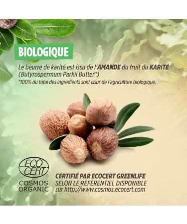  Plan te au Naturel Plan te au Naturel Shea Butter 800g - Organic - 100% Virgin - 100% Plant-Based - No Additives - Unrefined - Buy Online on GoSupps.com