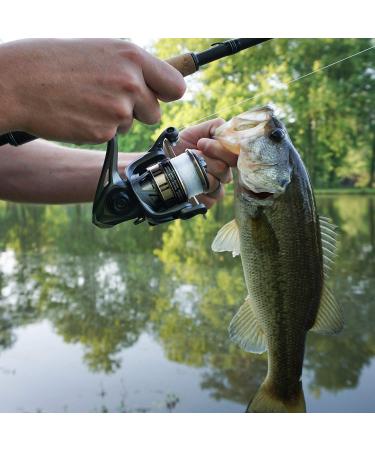 Cadence Ideal Spinning Reel - 10 + 1 BB, 30LBs Max Drag, 6.2:1 Ratio - Durable, Powerful, and Smooth Fishing Reel for Freshwater - Great Value and Tuned Performance 1000 - Buy Online on GoSupps.com