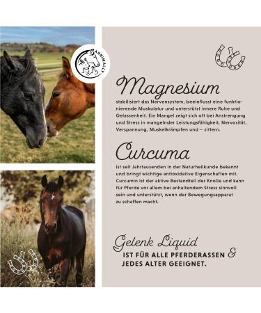 Annimally Joint Liquid for Horses 1000ml - Devil Claw Glucosamine & MSM for Joint Health - Liquid Supplement Alternative to Powder - Buy Online on GoSupps.com