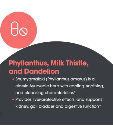 Allergy Research Group Milk Thistle Plus Supplement - Liver Health Support Milk Thistle Dandelion Detox Cleanse Vegetarian Capsules - 120 Count - Buy Online on GoSupps.com