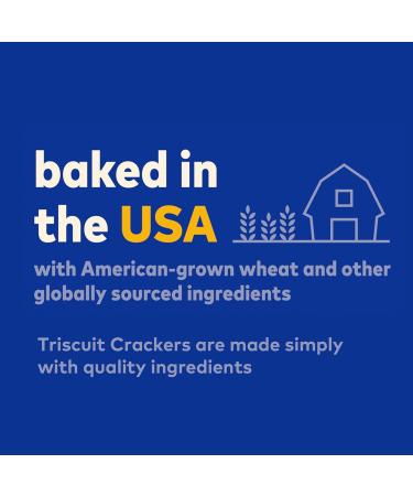 Buy Triscuit Fire Roasted Tomato & Olive Oil Crackers - 8.5oz | International Shipping Available - Buy Online on GoSupps.com