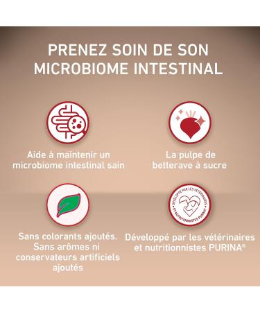 PURINA ONE Medium/Maxi 10 kg | Adults | Sensitive | Rich Salmon Dog Food | 2.5kg Bag - Buy Online on GoSupps.com