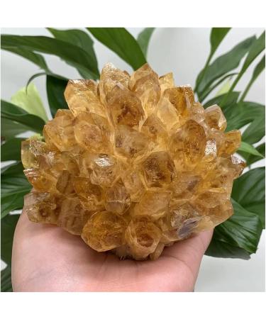 Natural Raw Citrine Quartz Stone Crystal Cluster Yellow Stones Specimen Home Decoration 1pcs yuebang (Size : 450-550g) - Buy Online on GoSupps.com