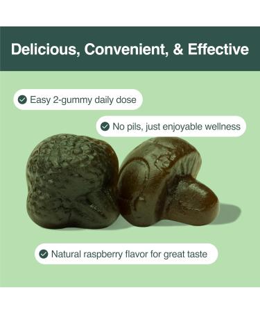 Habit + Habitat Daily Greens Plus Gummies - Superfood Blend with Chlorella, Spirulina, Beetroot, Lion s Mane, Ashwagandha & Reishi for Energy, Stress Relief & Wellness - Raspberry Flavored - 60 Count - Buy Online on GoSupps.com