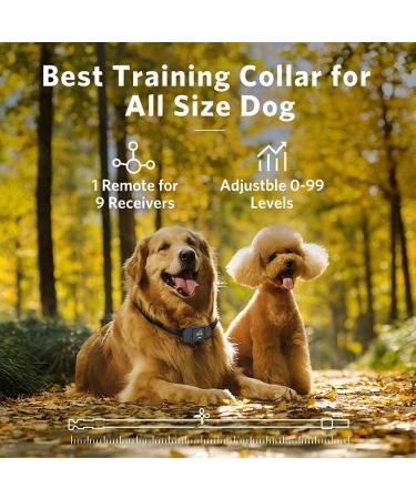 DOG CARE Dog Training Collar for Large Medium Dogs - Remote Shock Collar with Beep, Vibration, Static Modes - Adjustable Levels - Long Range Control - Black - Buy Online on GoSupps.com