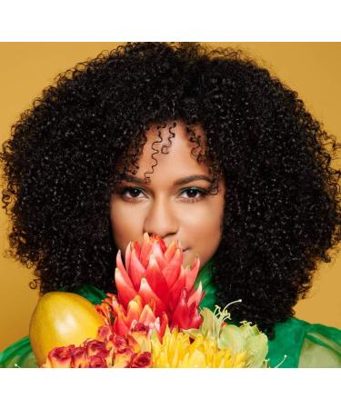 EDEN BodyWorks Papaya Castor Conditioning Hairdress 8 oz - Frizz Control, Nourishing Hair & Scalp with Light Hold - Buy Online on GoSupps.com