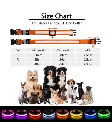 Luminous Dog Collar - Waterproof LED Light Neck Band for All Sizes | 7 Color Change - Night Safety for Dogs (Orange L - 48-60cm) - Buy Online on GoSupps.com