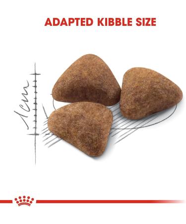 ROYAL CANIN 4kg Indoor 27 Cat Food - Buy Online on GoSupps.com