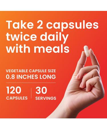 Nutridom Chitosan Supplement 500mg 95% Acetylated Chitin North American Source Non-GMO Gluten free Dairy free Soy free 120 Veggie Capsules - Buy Online on GoSupps.com