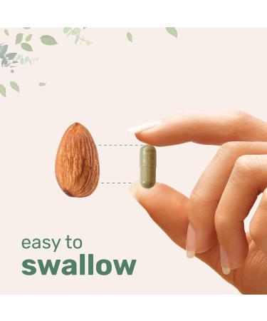 Micro Ingredients Organic Chlorella Spirulina Tablets & Resveratrol NAD Supplements 3 000mg Veggie Capsules | 2 Pack | Cracked Cell Wall Easily Absorbed | Antioxidant Blend with Quercetin & Berberine - Buy Online on GoSupps.com