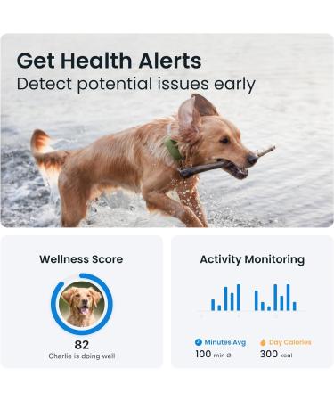 Tractive XL GPS Dog Tracker | 1 Month Battery Life | Global Real-Time Location | Escape Alerts | Health Monitoring - Buy Online on GoSupps.com