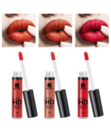 Matte Liquid Lipstick Makeup Set Long Lasting Waterproof Velvet Lip Gloss Set Pigmented Lip Makeup Gift Sets for Girls and Women