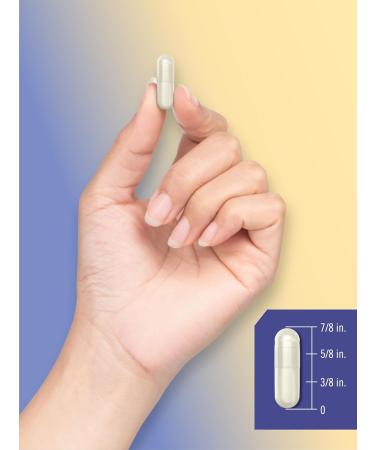 Magfusion-10 Magnesium Complex Supplement 745mg | 120 Capsules | 10 in 1 Blend | Vegetarian Non-GMO Gluten Free - Buy Online on GoSupps.com