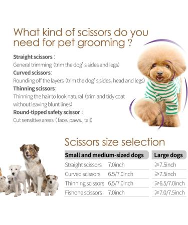 FOGOSP Professional Dog Grooming Scissors - 7.5 inch Curved & Straight Shears Set for Groomers | Thinning & Chunker Gold Shears - 6.75 inch - Buy Online on GoSupps.com