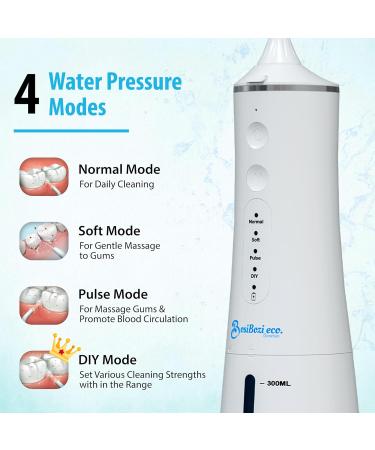 BosiBozi Rechargeable Water Flosser - 4 Modes Portable & Cordless 300ML Tank IPX7 Waterproof USB-C Charging 3 Jet Heads & Tongue Scraper - Dental Care Solutions - Buy Online on GoSupps.com