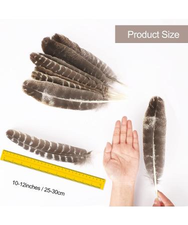 Outuxed 15pcs Natural Turkey Feathers for Crafts - 10-12 Inches - DIY Home Wedding Party Decoration - Buy Online on GoSupps.com