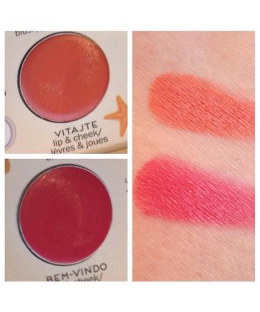  theBalm Balm Voyage 2 Palette | International Shipping & Best Price  - Buy Online on GoSupps.com
