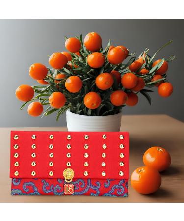 harayaa Chinese Lunar Year Red Envelope Hongbao 2024 Dragon New Year Gifts Red Packets Red Pockets for Birthday Spring Festival Rich Blue - Buy Online on GoSupps.com