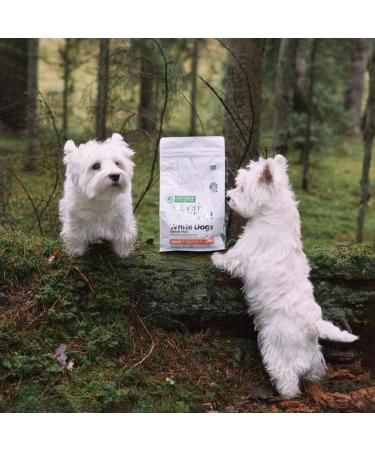 Nature's Protection Hypoallergenic Grain-Free Dry Dog Food - Salmon for Small & Mini Breeds - 1.5kg - Buy Online on GoSupps.com