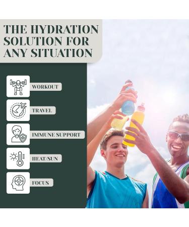 Rayvi Zero Sugar Electrolytes Powder + Minerals Hydration Powder | 1 Pack (30 Servings) Vegan Zero Sugar Electrolytes and Artificial Additives | Hydration Drink Supplement | Passion Pineapple Flavor - Buy Online on GoSupps.com