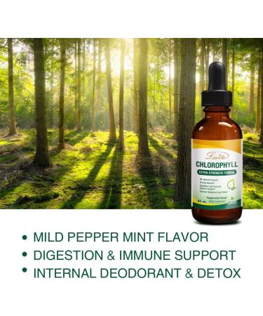 Lovita Chlorophyll Liquid 7200mg - Natural Concentrated Chlorophyll for Skin Health & Internal Deodorant - Energy Booster, Immune Support - Vegan & Non-GMO Drops - 2 Fl Oz - Buy Online on GoSupps.com