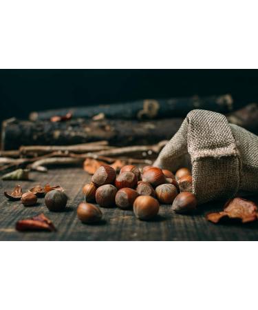 NATURAL FOOD Savoureuses Noisettes En Coque - V g talien Naturel Non Trait Haute Qualit - Riche En Acides Gras Essentiels - pour les Desserts au Muesli ou Dans les Salades - Grand Emballage 10 kg Noisettes 10 kg - Buy Online on GoSupps.com