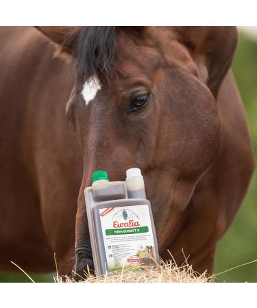 Ewalia Nerve Juice II Targeted support for concentrated performance in horses Ideal for competitions and training developed with veterinarians 100% natural without additives  - Buy Online on GoSupps.com