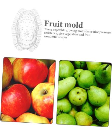 OFFSCH Fruits Forming Mould Vegetable Growing Ginseng Fruit Shaping Tool Melon Shaping Novel Shaping Small - Buy Online on GoSupps.com