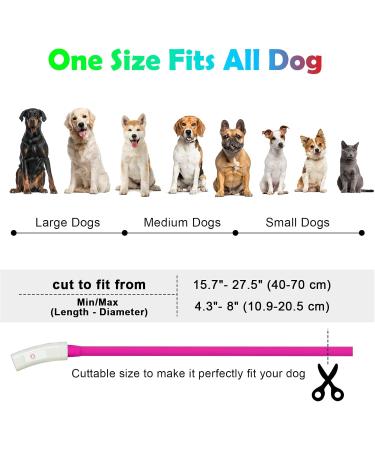 Auauy LED Light Neck Band for Dogs & Cats - Adjustable USB Rechargeable Waterproof Silicone Collar with 4 Modes (Pink) | Pet Safety Gear - Buy Online on GoSupps.com