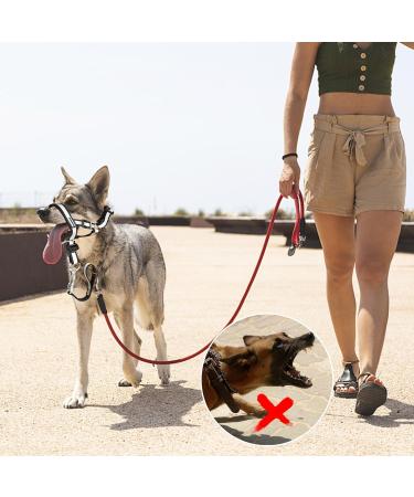 Dog Head Collar No Pull Gentle of Leader for Dogs Adjustable Dog Head Halter Reflective Anti-Pull Muzzle Leash Dog Nose Strap Easy to Control When Walking (Size L) - Buy Online on GoSupps.com