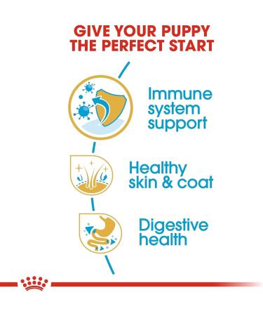 Royal Canin Shih Tzu 28 Junior Dry Mix 1.5 kg - Buy Online on GoSupps.com