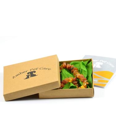 Buy Raw Baltic Amber Necklace for Dogs & Cats with Leather Clasp - Natural Pet Jewelry - Buy Online on GoSupps.com