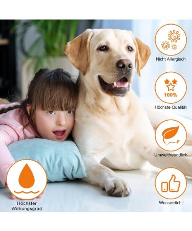 Dewel Tick Collar for Large Dogs & Cats | Natural Waterproof Anti-Flea & Tick Protection | Adjustable 63.5cm Collar Against Fleas Mites & Lice - Buy Online on GoSupps.com