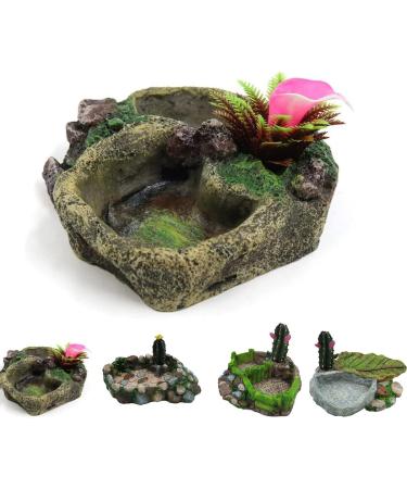 Eurobuy Reptile Dish Feed Feeding Water Bowl Resin Reptile Bowl Water Bowl for Snake Tortoise Lizard SP-008 - Buy Online on GoSupps.com