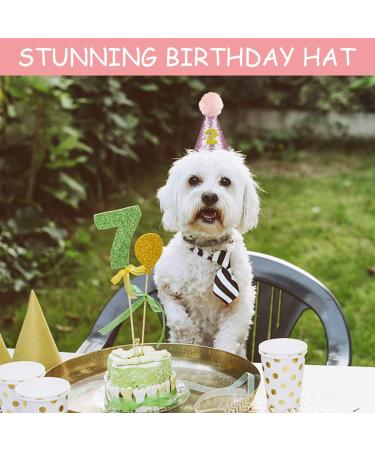 Dog Birthday Hat Kit with Bow Tie Collar and Gold Number - Pink Pet Party Decorations - Buy Online on GoSupps.com