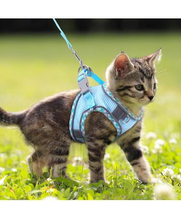 Shop BriFit Cat Dishes - Leash-Resistant Adjustable Cat Vest & Harness | Reflective Stripes for Cats & Puppies | Blue XS - International Shipping Available - Buy Online on GoSupps.com