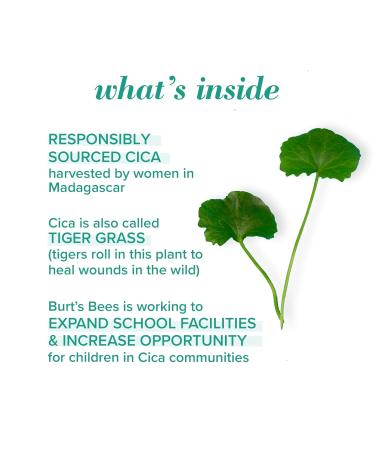 Burt's Bees Natural Acne Solutions Clarifying Toner - Salicylic Acid Facial Toner for Acne-Prone Skin | 100% Natural Skin Care | 5 fl. oz - Buy Online on GoSupps.com