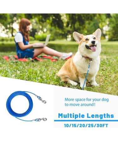 Haiyuan Dog Tie Out Cable - 10/15/20/25/30 ft Heavy-Duty Steel Wire Runner for Large Dogs up to 165 lbs - Durable Clips Blue Outdoor Lead - Buy Online on GoSupps.com